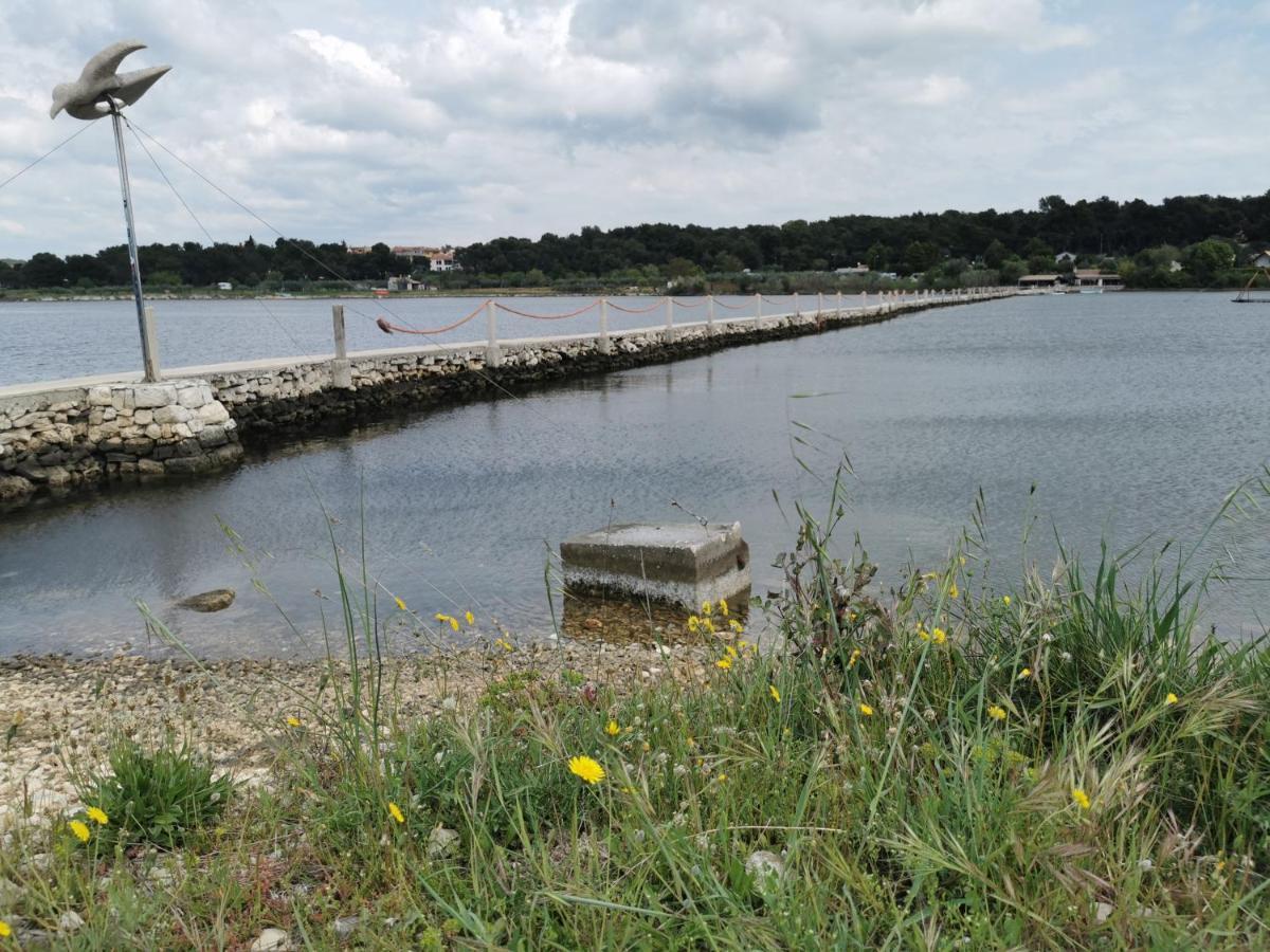 Black Pearl - Luxury Seaside App With Pool & Bbq, Istra Banjole Exterior foto